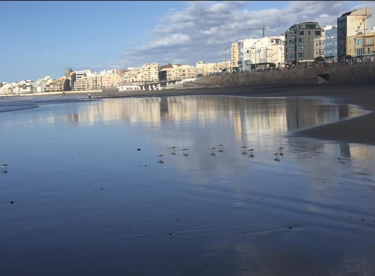 Las Canteras Beach Лас Палмас де Гран Канария Екстериор снимка